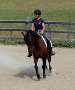 Birgit riding one of the training horses