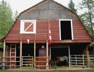 Barn with horses