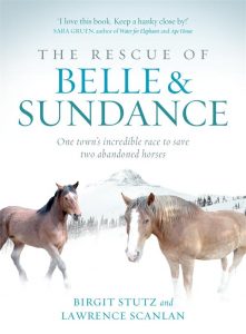 The Rescue of Belle and Sundance - A Miracle on Mount Renshaw