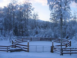 Round pen in the winter time