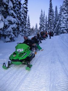 Line-up of snowmobiles