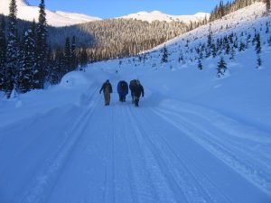 Birgit Stutz, Belle, Sundance and Gord Jeck heading down the logging road