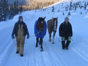 Birgit Stutz, Belle, Sundance and Gord Jeck heading down the logging road